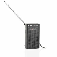 Roxy RXY-160 FM Cep Radyosu (Deprem Radyosu)
