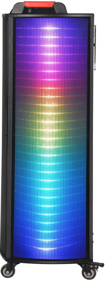 RXY-NDR-1212S 100 Watt ( 12 INCH x 2 ) + TWEETER Çift Kablosuz UHF Mikrofonlu Kumandalı Led Panel FM / BT / USB ve TF Kart Girişli Anfili Hoparlör